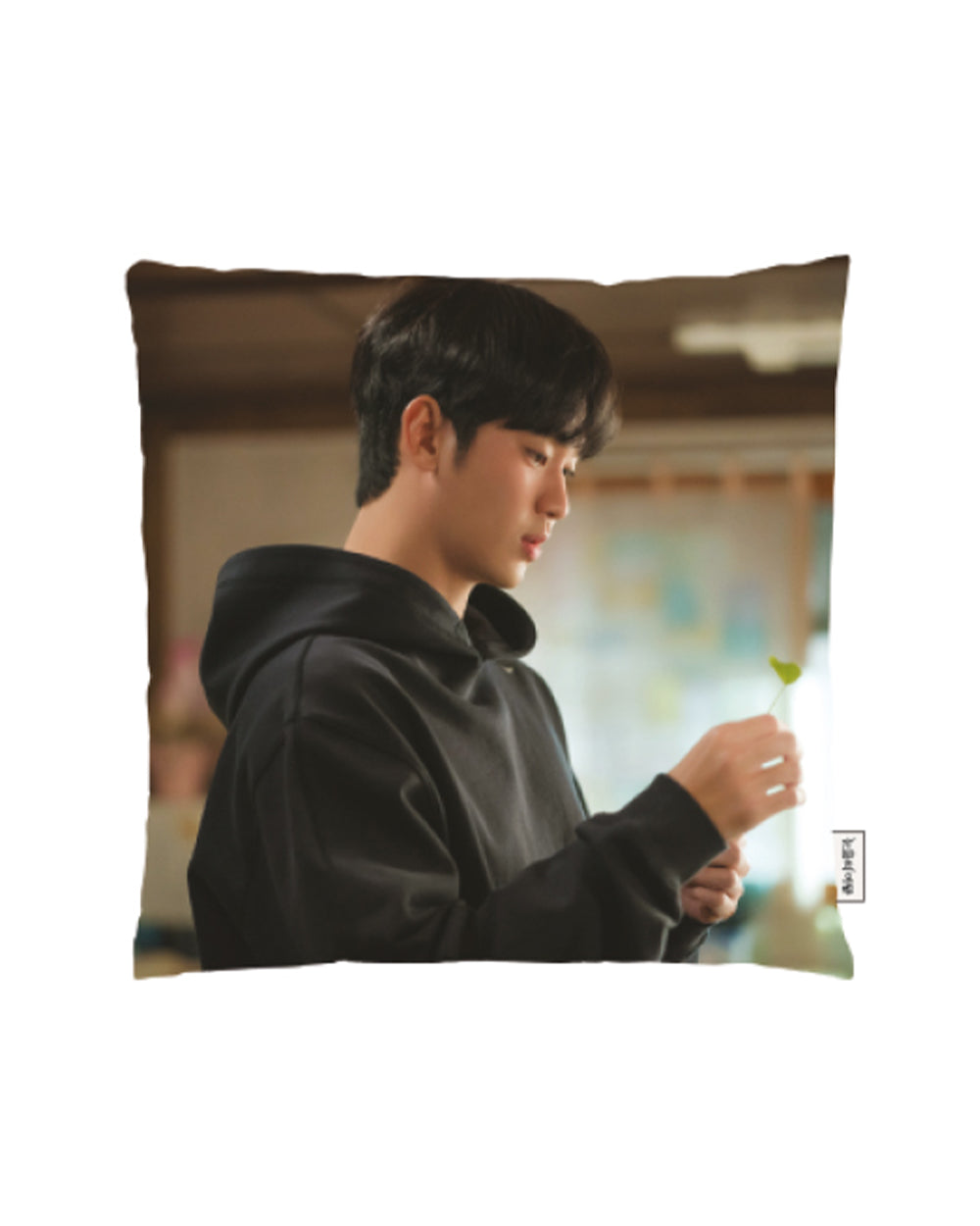 Queen of Tears - Cushion